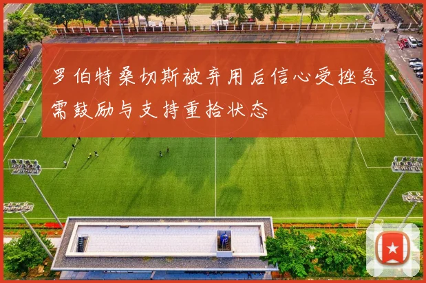 罗伯特桑切斯被弃用后信心受挫急需鼓励与支持重拾状态